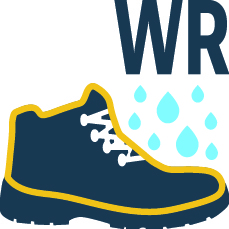 ikony normy, obuv_2024_-144